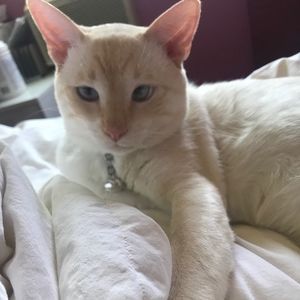 Meet your Posher, Arlene